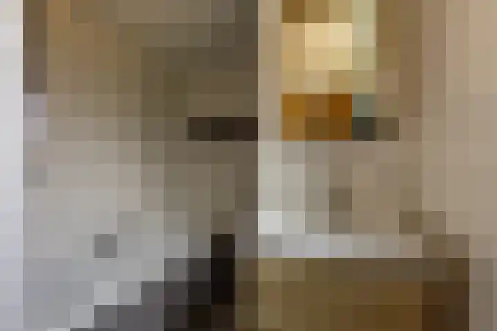 Molenlaan 2 Mildam thumbnail 22