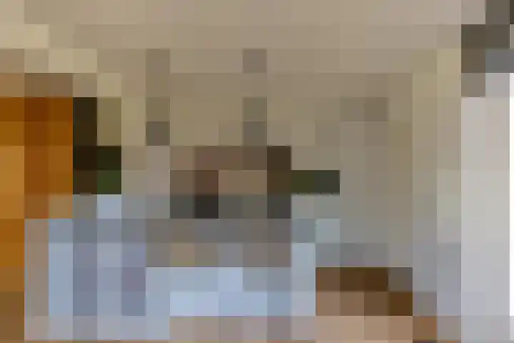 Molenlaan 2 Mildam foto 3