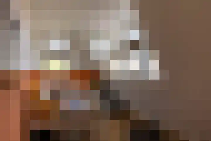 Molenlaan 2 Mildam thumbnail 30