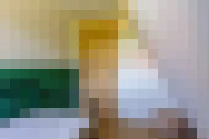 Molenlaan 2 Mildam thumbnail 33