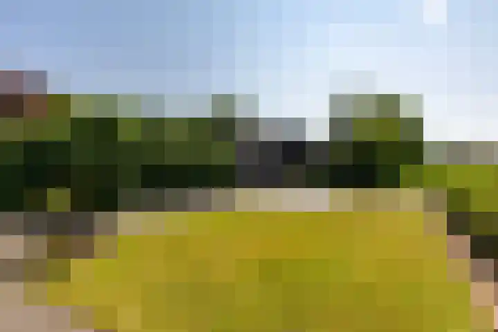 Molenlaan 2 Mildam thumbnail 44