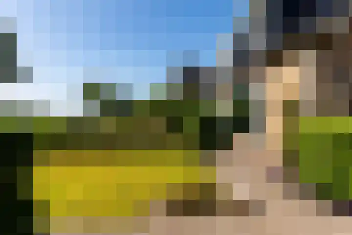 Molenlaan 2 Mildam thumbnail 45