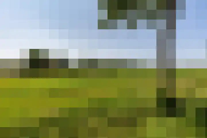 Molenlaan 2 Mildam thumbnail 47