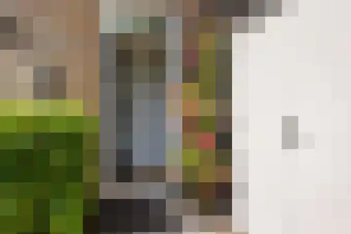 Molenlaan 2 Mildam thumbnail 8