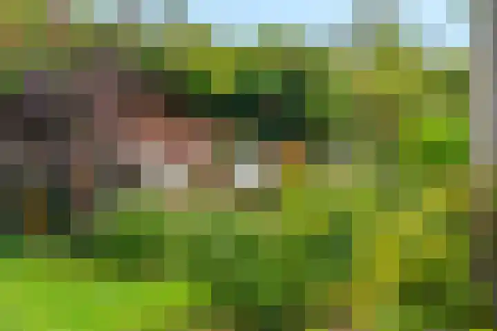 Molenlaan 2 Nieuw Beerta thumbnail 12