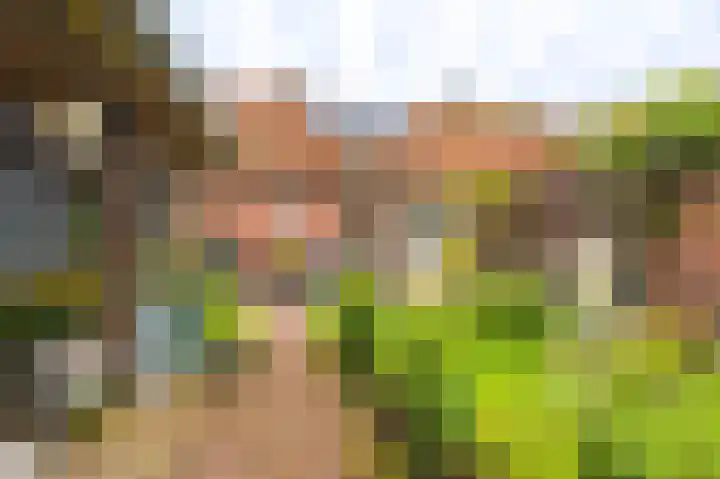 Molenlaan 2 Nieuw Beerta thumbnail 14