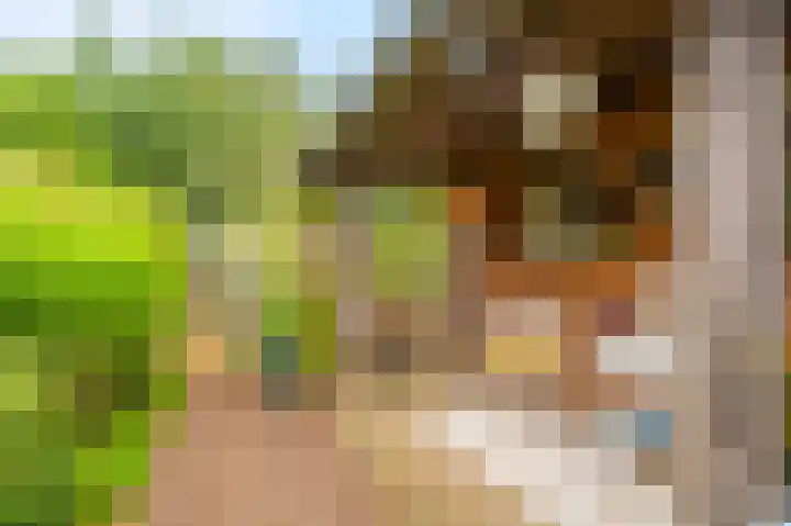 Molenlaan 2 Nieuw Beerta thumbnail 16