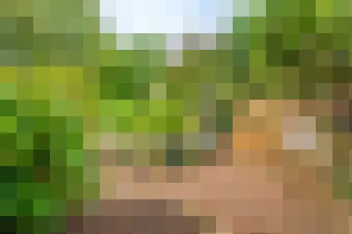Molenlaan 2 Nieuw Beerta thumbnail 18