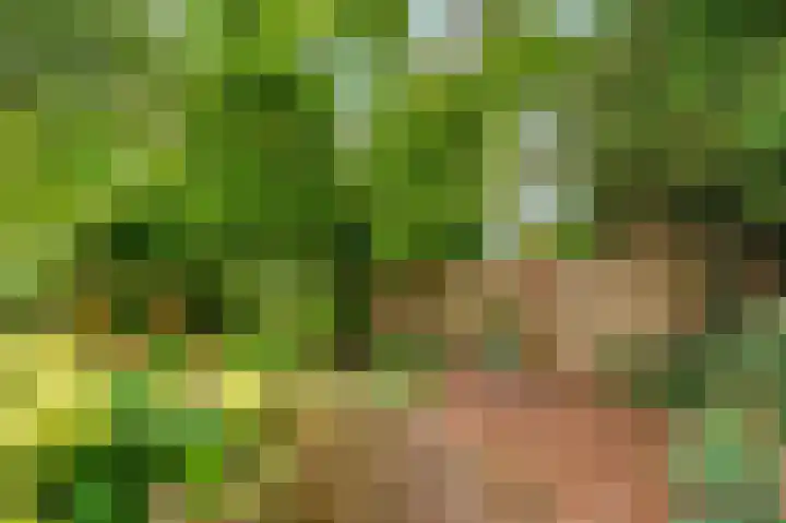 Molenlaan 2 Nieuw Beerta thumbnail 20