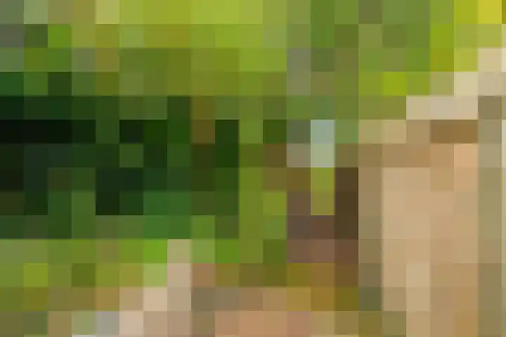 Molenlaan 2 Nieuw Beerta thumbnail 21