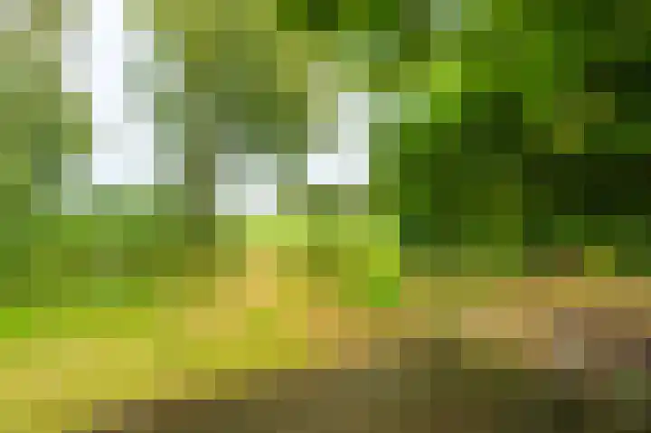 Molenlaan 2 Nieuw Beerta thumbnail 22