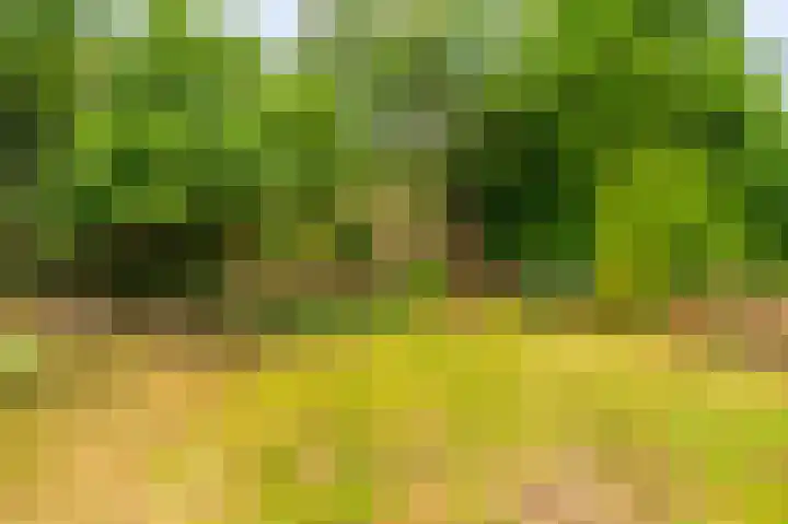 Molenlaan 2 Nieuw Beerta thumbnail 23
