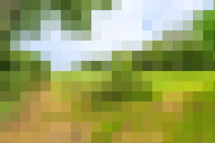 Molenlaan 2 Nieuw Beerta thumbnail 24