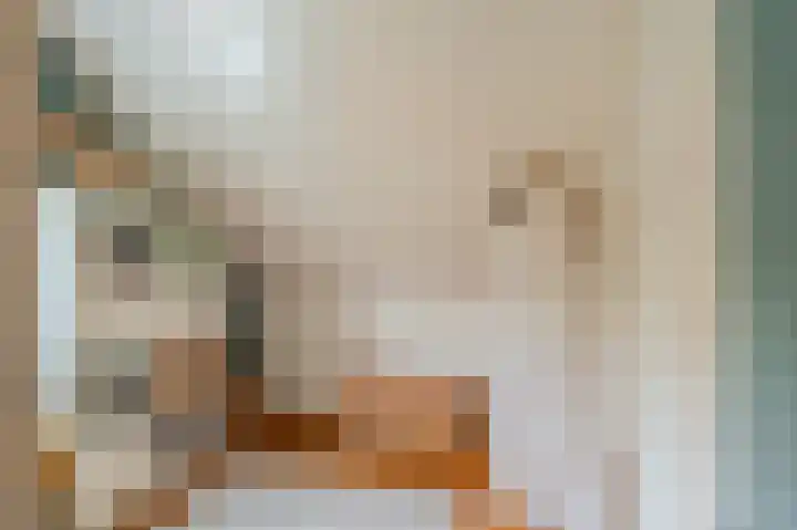 Molenlaan 2 Nieuw Beerta thumbnail 42
