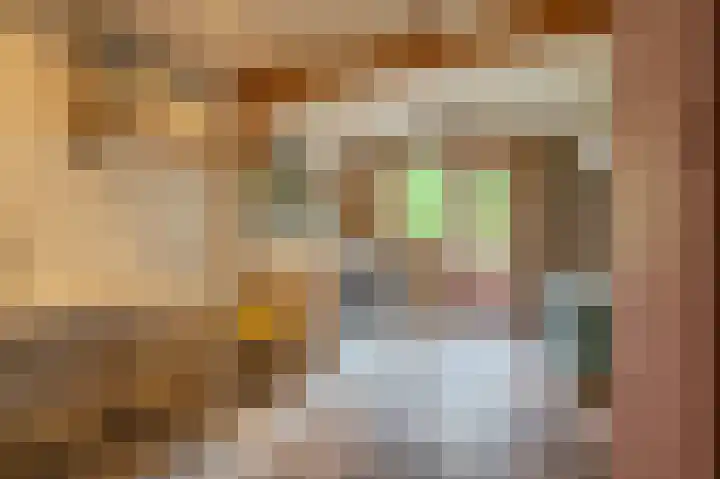 Molenlaan 2 Nieuw Beerta thumbnail 45