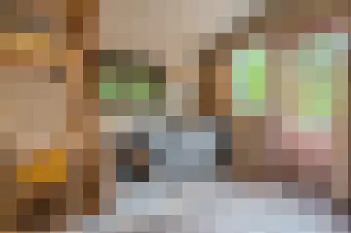 Molenlaan 2 Nieuw Beerta thumbnail 46