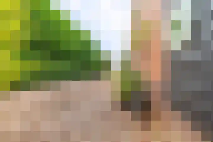 Molenlaan 2 Nieuw Beerta thumbnail 6