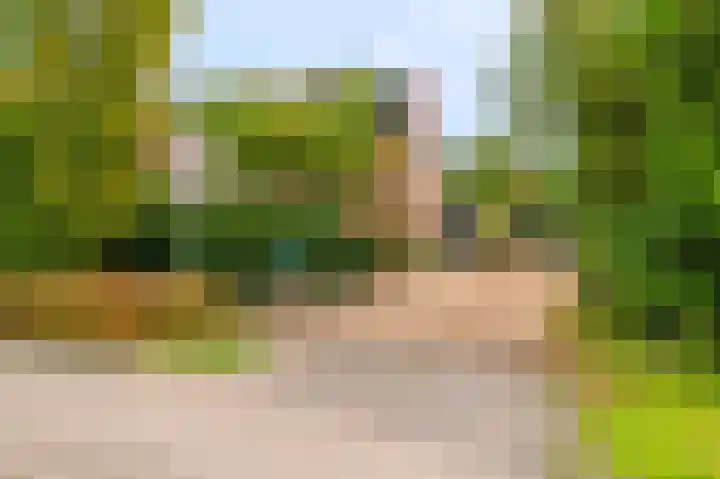 Molenlaan 2 Nieuw Beerta thumbnail 8