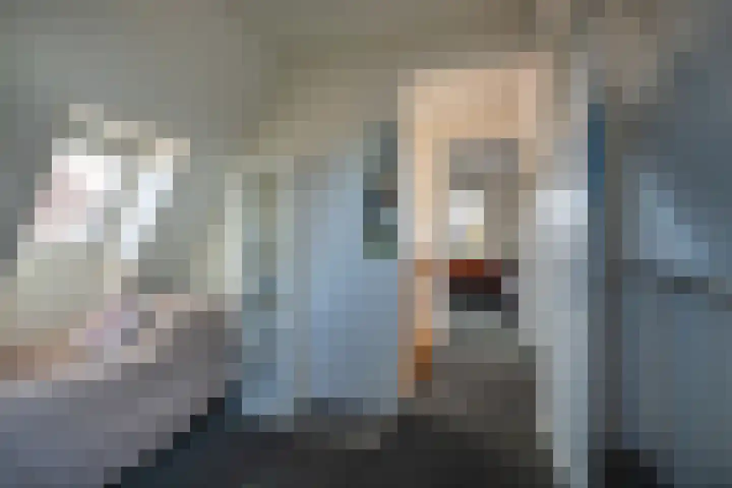 Molenlaan 20 Bussum thumbnail 20