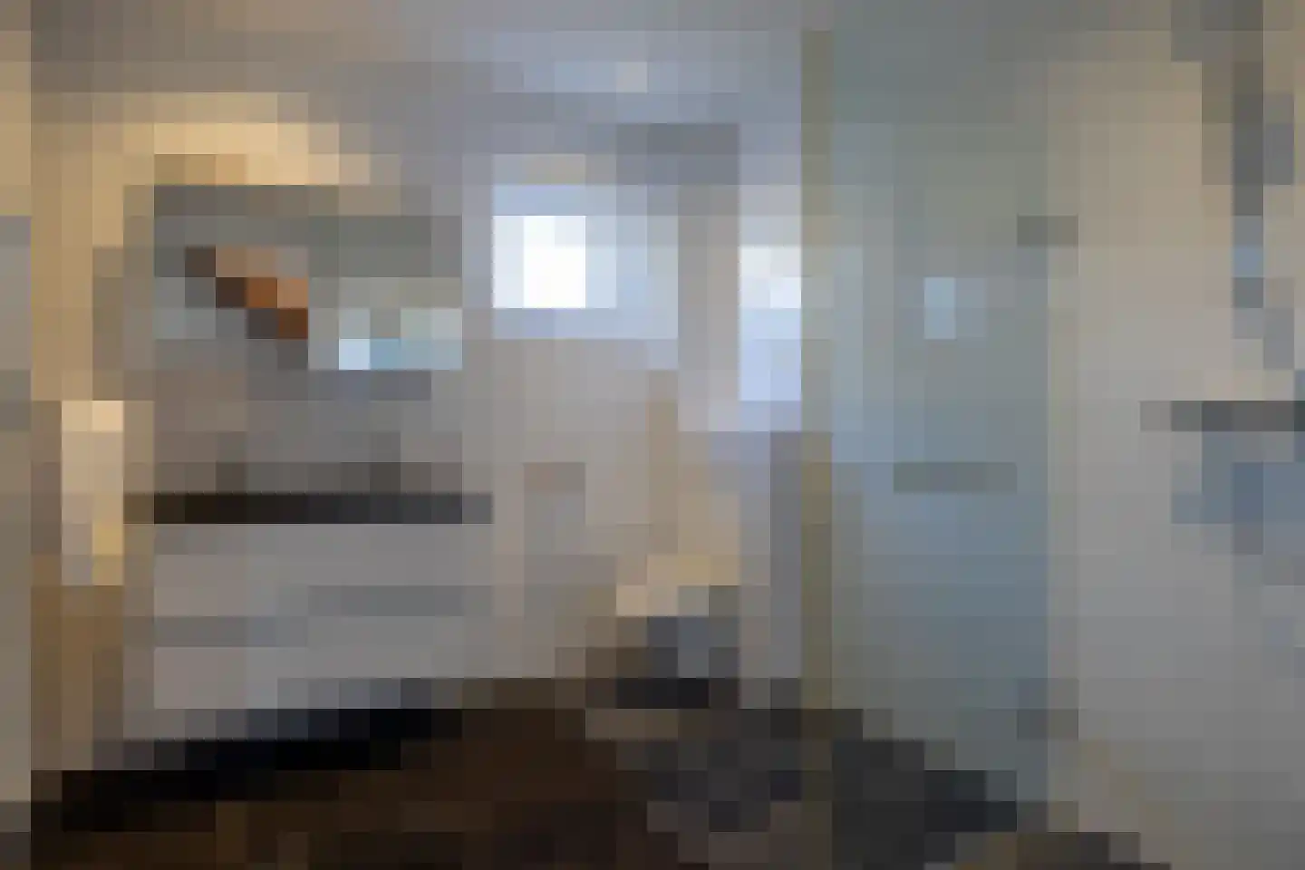Molenlaan 20 Bussum thumbnail 20