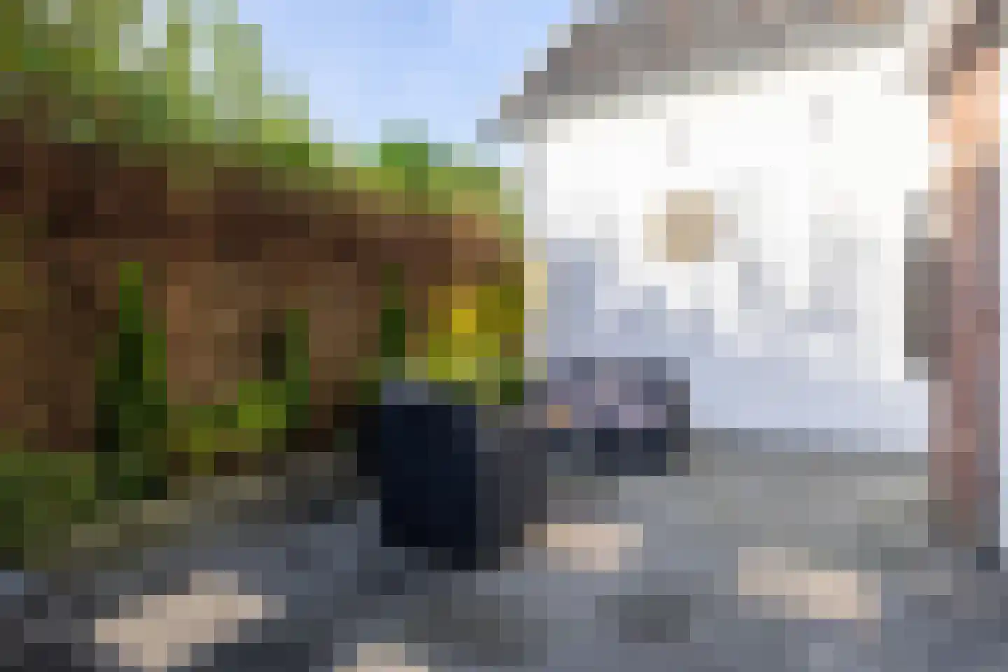 Molenlaan 20 Bussum thumbnail 30