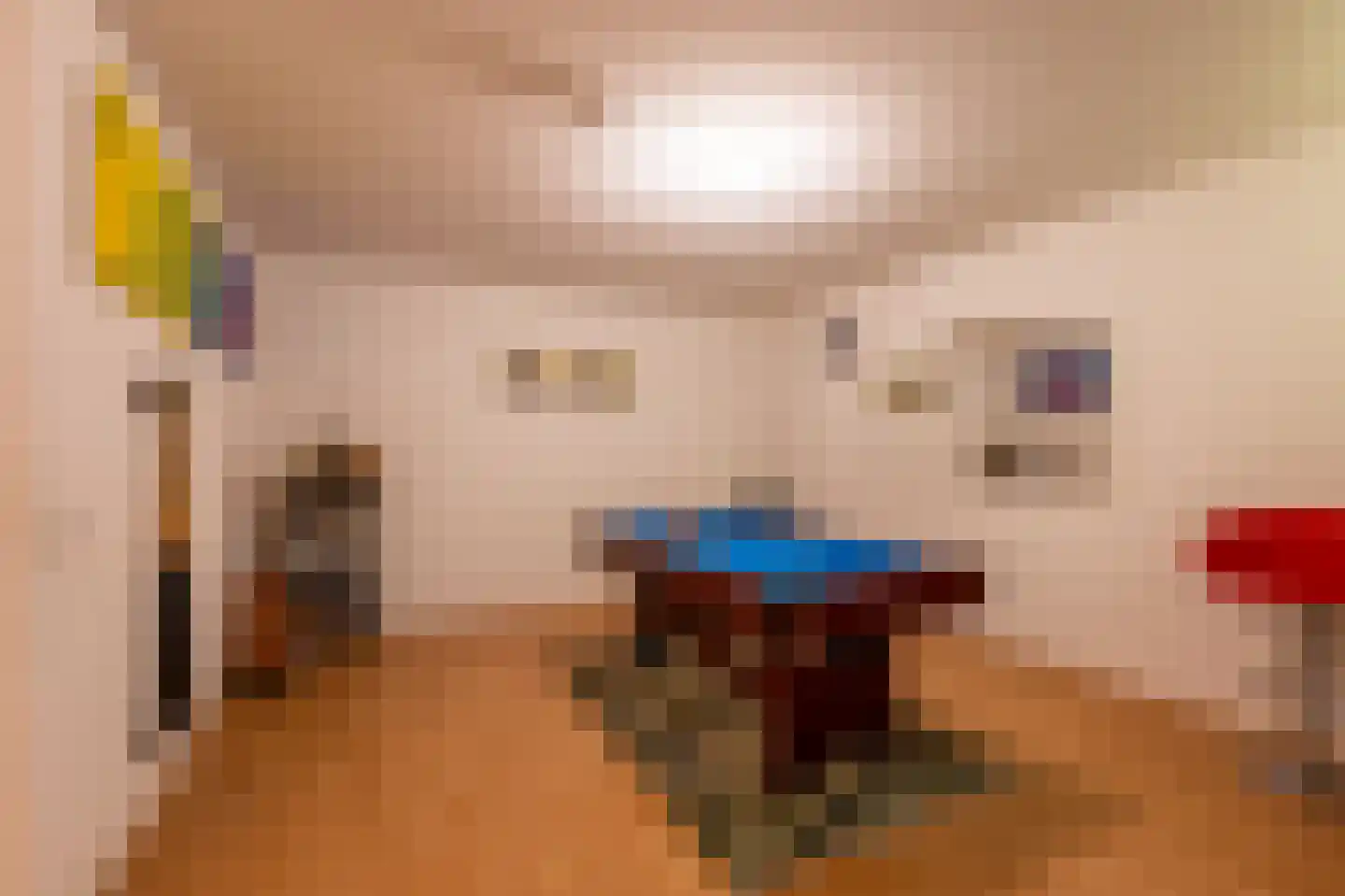 Molenlaan 20 Bussum thumbnail 31