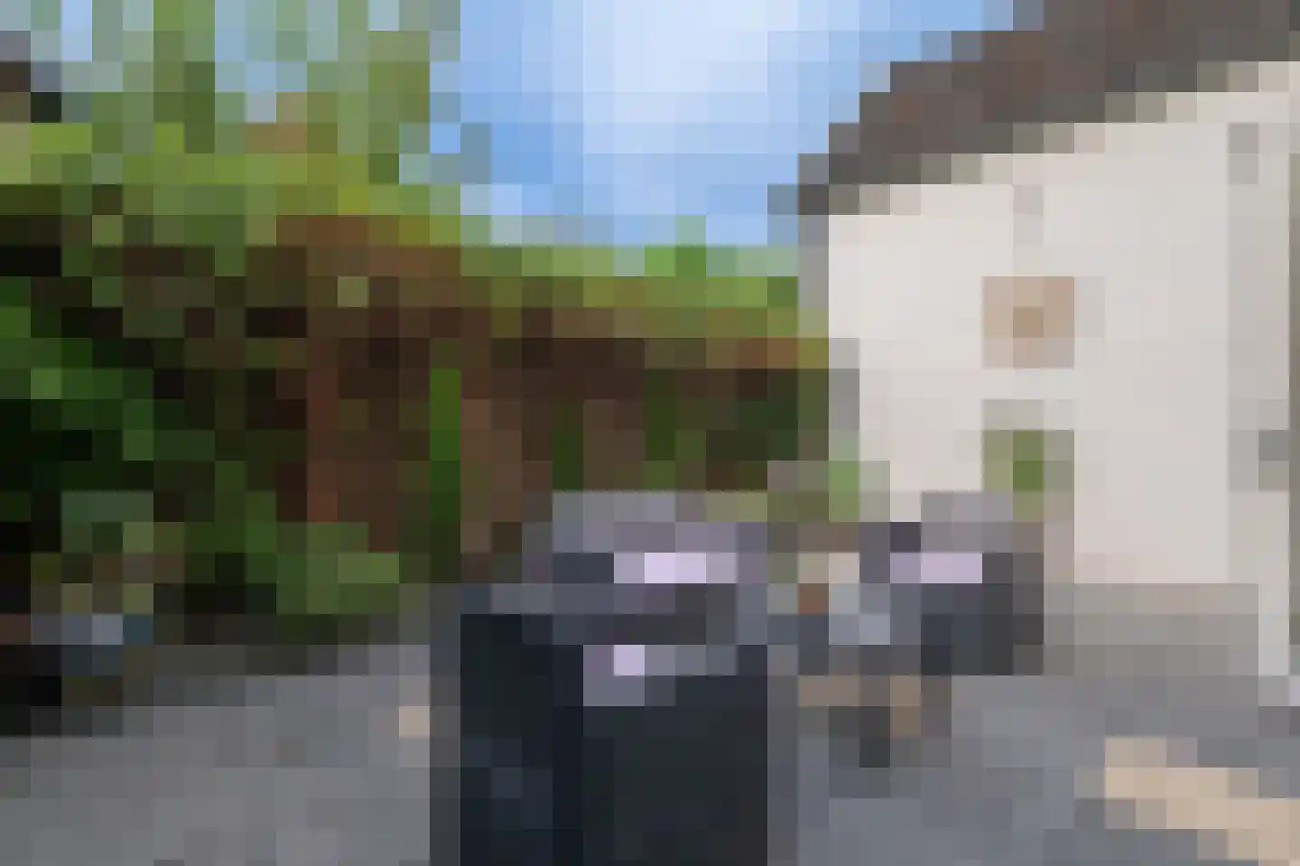 Molenlaan 20 Bussum thumbnail 35