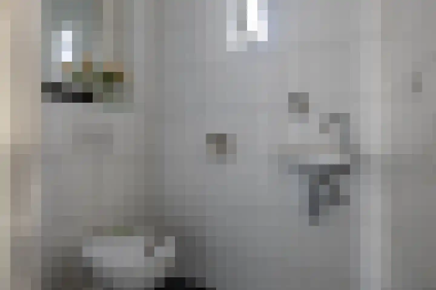 Molenlaan 20 Bussum thumbnail 6