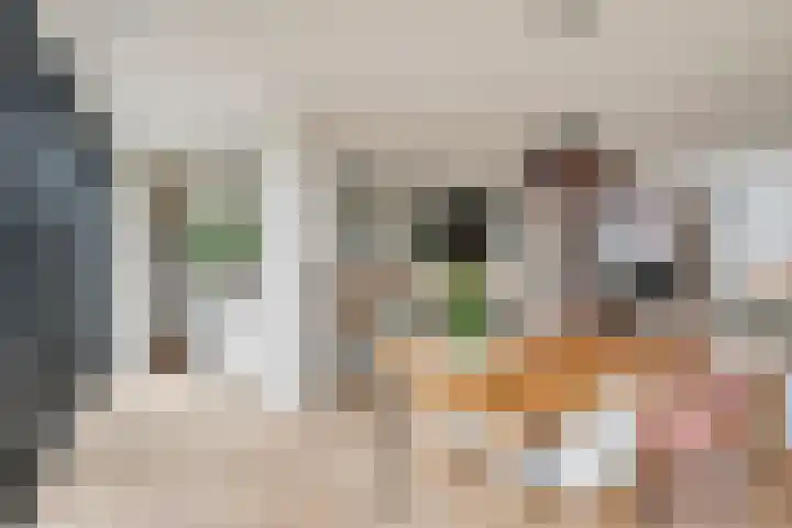 Molenlaan 20 Westervoort thumbnail 11