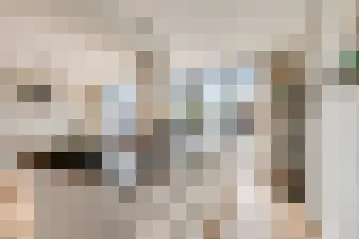 Molenlaan 20 Westervoort thumbnail 13