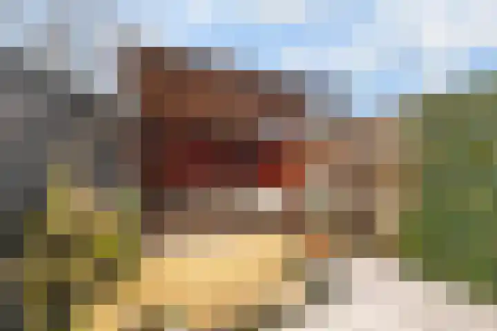 Molenlaan 20 Westervoort thumbnail 36