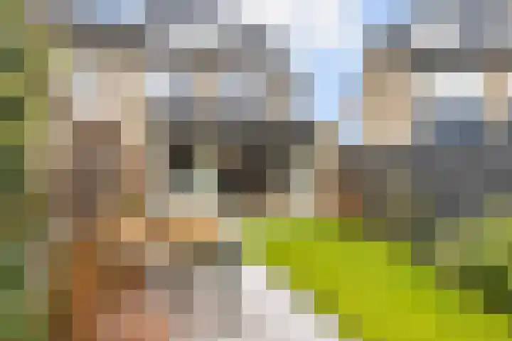 Molenlaan 20 Westervoort thumbnail 37