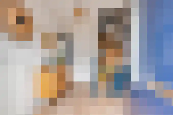 Molenlaan 20 Westervoort thumbnail 6