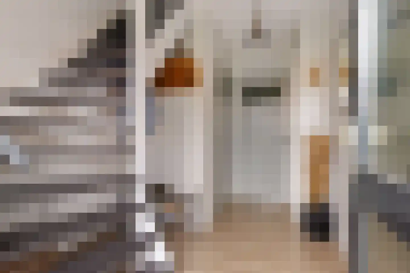Molenlaan 21 Rottum thumbnail 10