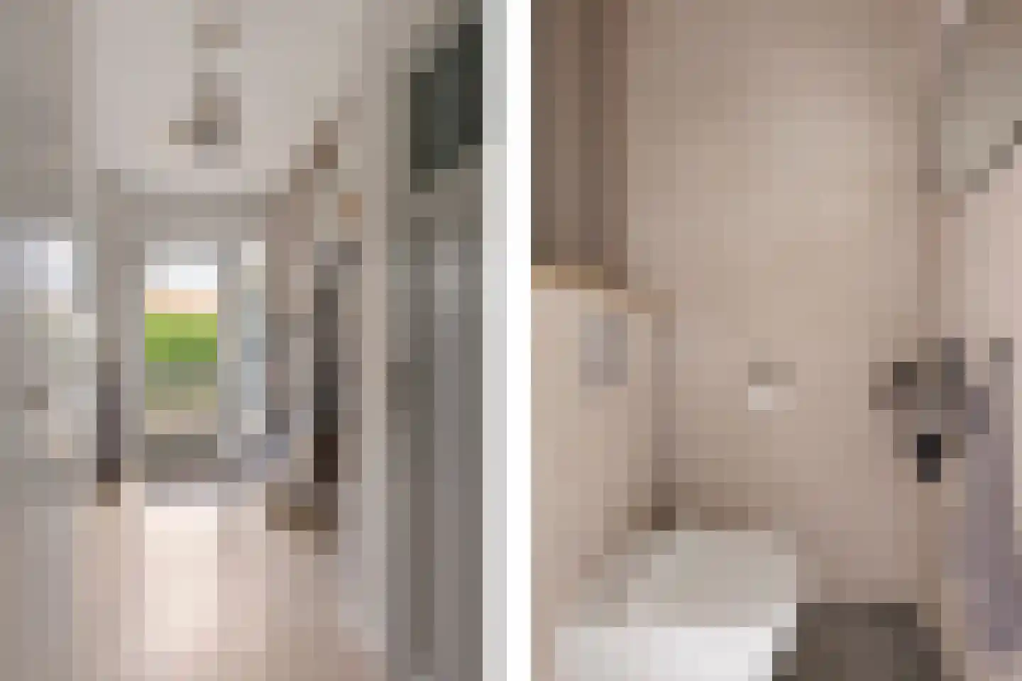 Molenlaan 21 Rottum thumbnail 11