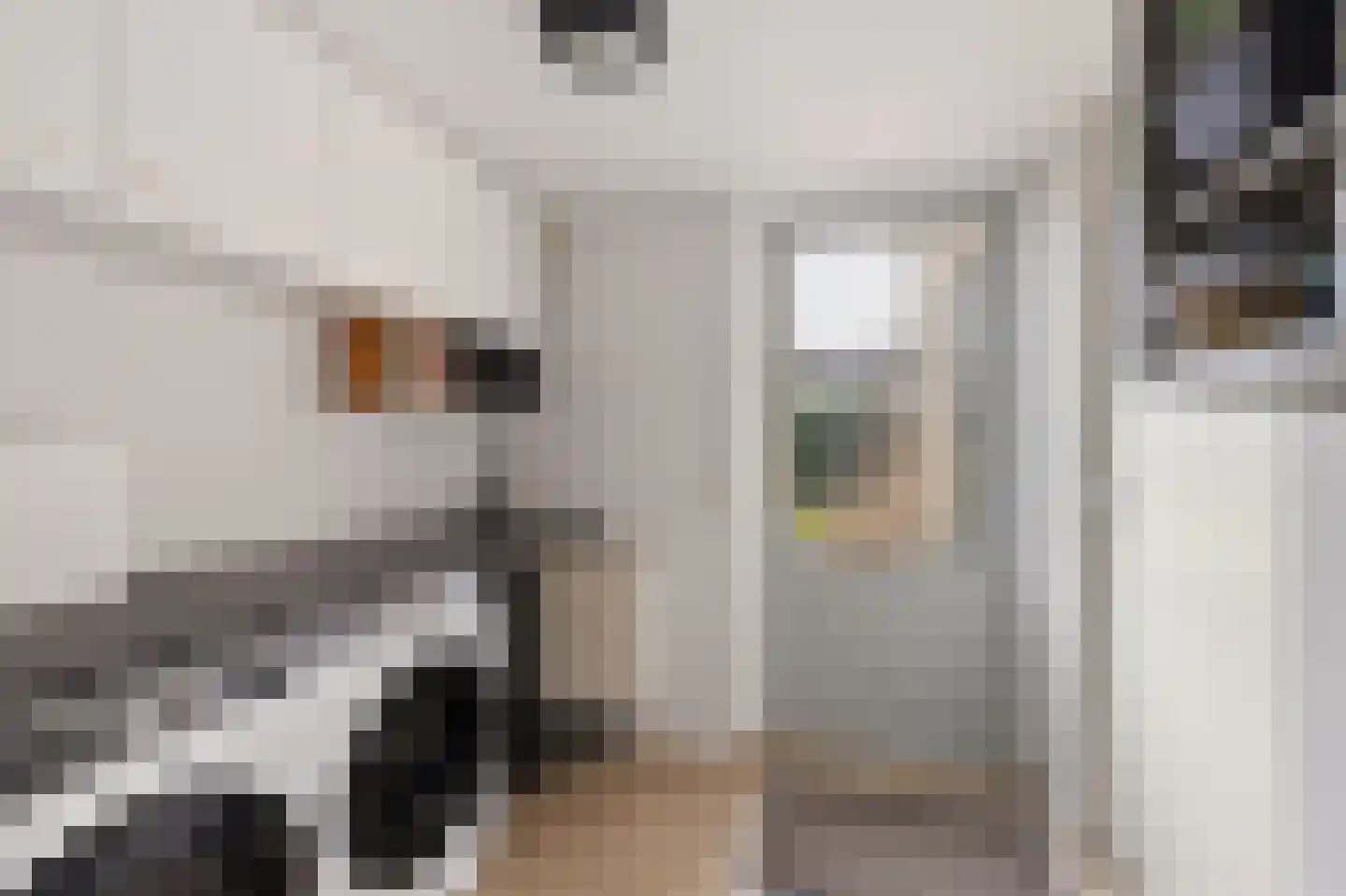 Molenlaan 21 Rottum thumbnail 18