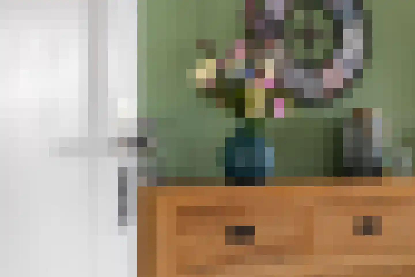 Molenlaan 21 Rottum thumbnail 19