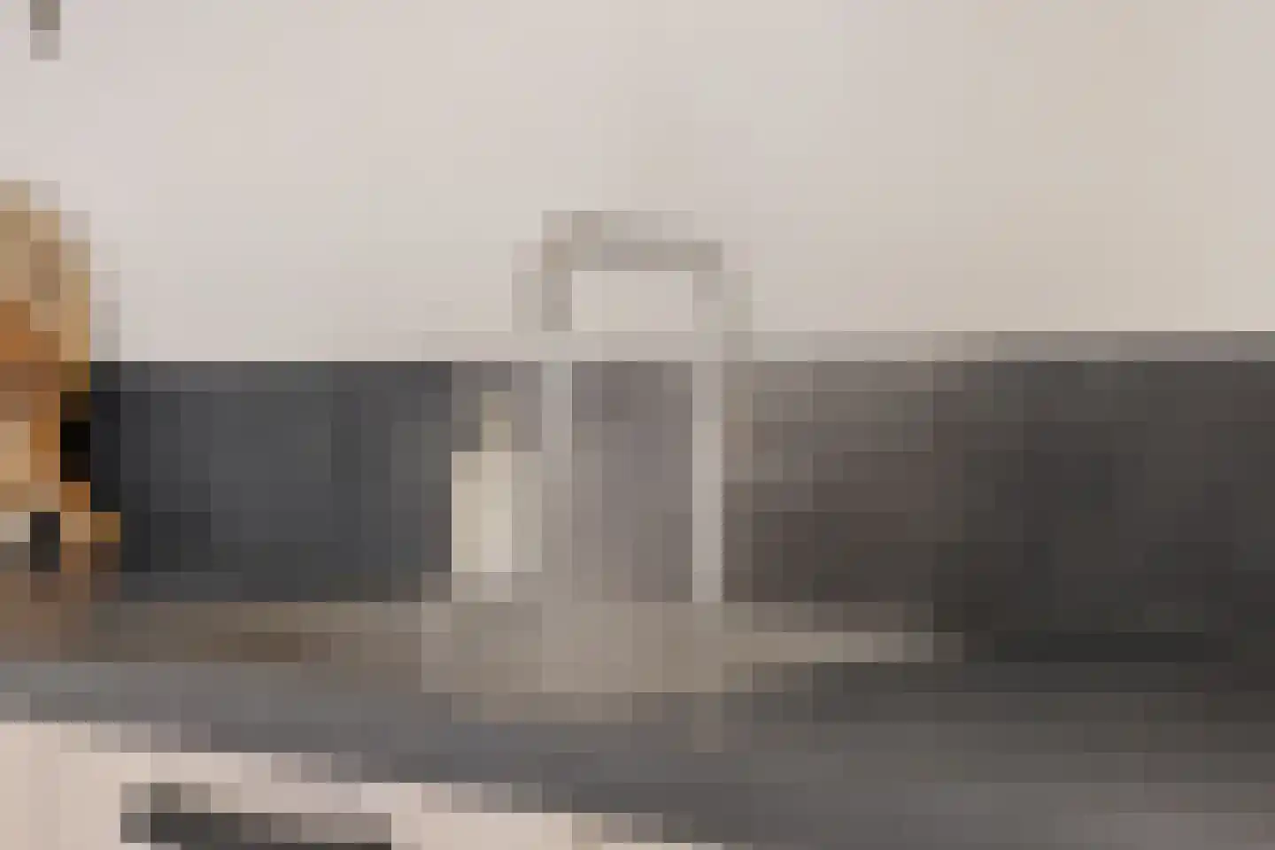 Molenlaan 21 Rottum thumbnail 21