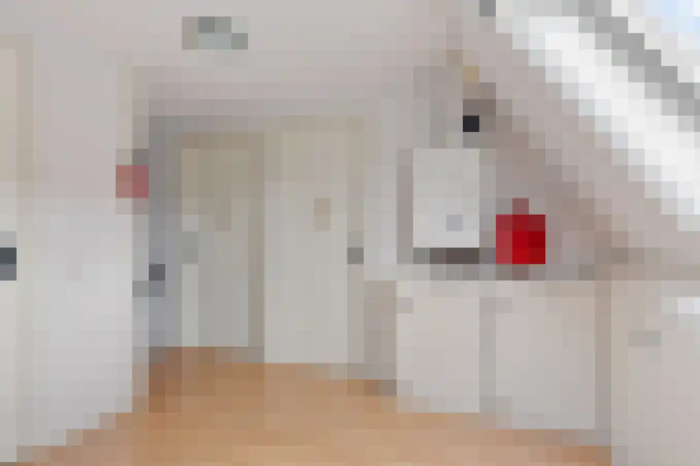Molenlaan 21 Rottum thumbnail 24