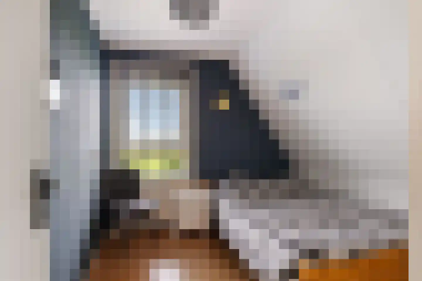 Molenlaan 21 Rottum thumbnail 25