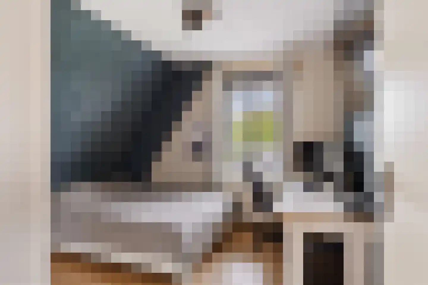 Molenlaan 21 Rottum thumbnail 27