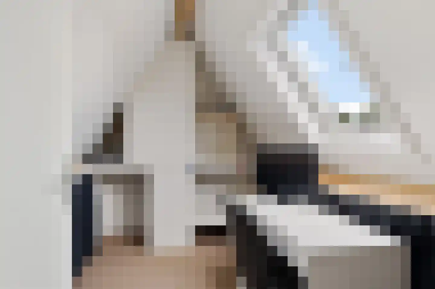 Molenlaan 21 Rottum thumbnail 33