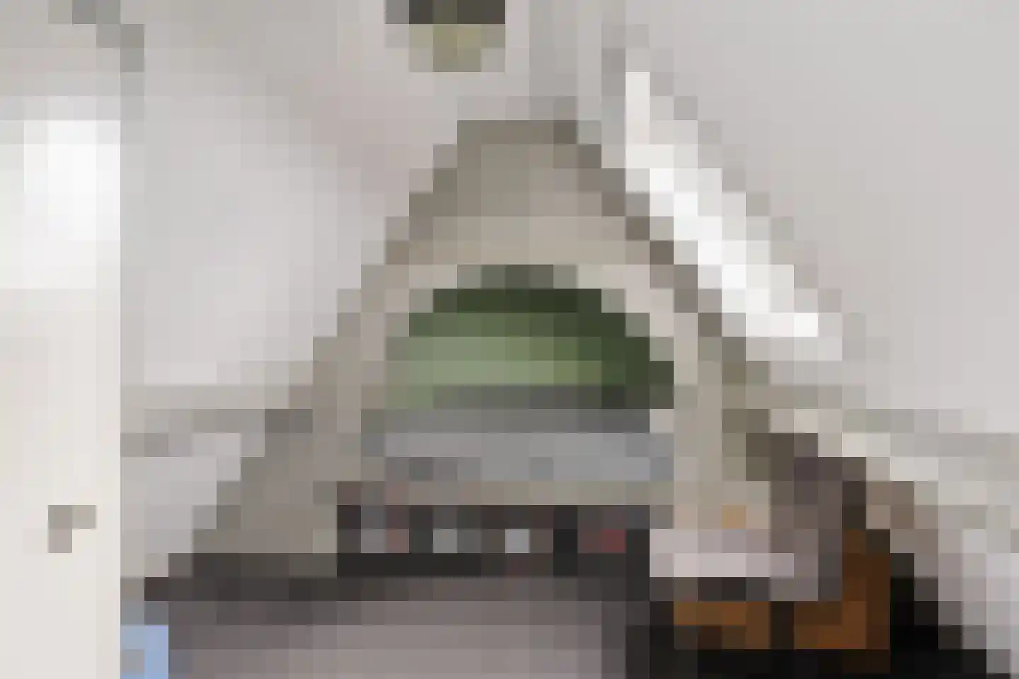 Molenlaan 21 Rottum thumbnail 34
