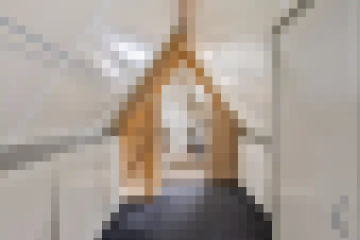 Molenlaan 21 Rottum thumbnail 35