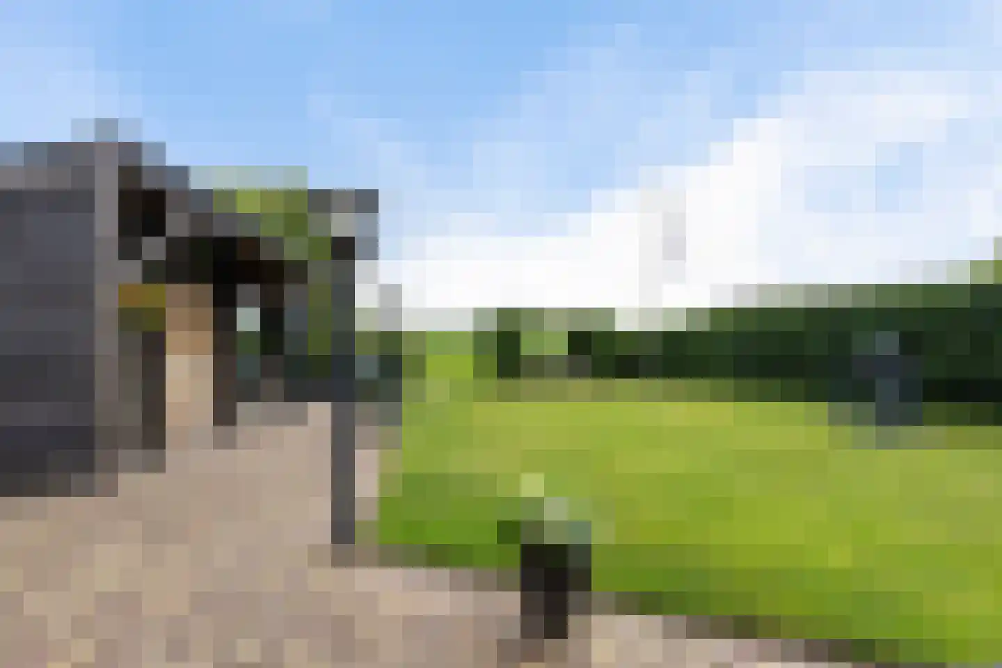 Molenlaan 21 Rottum thumbnail 39