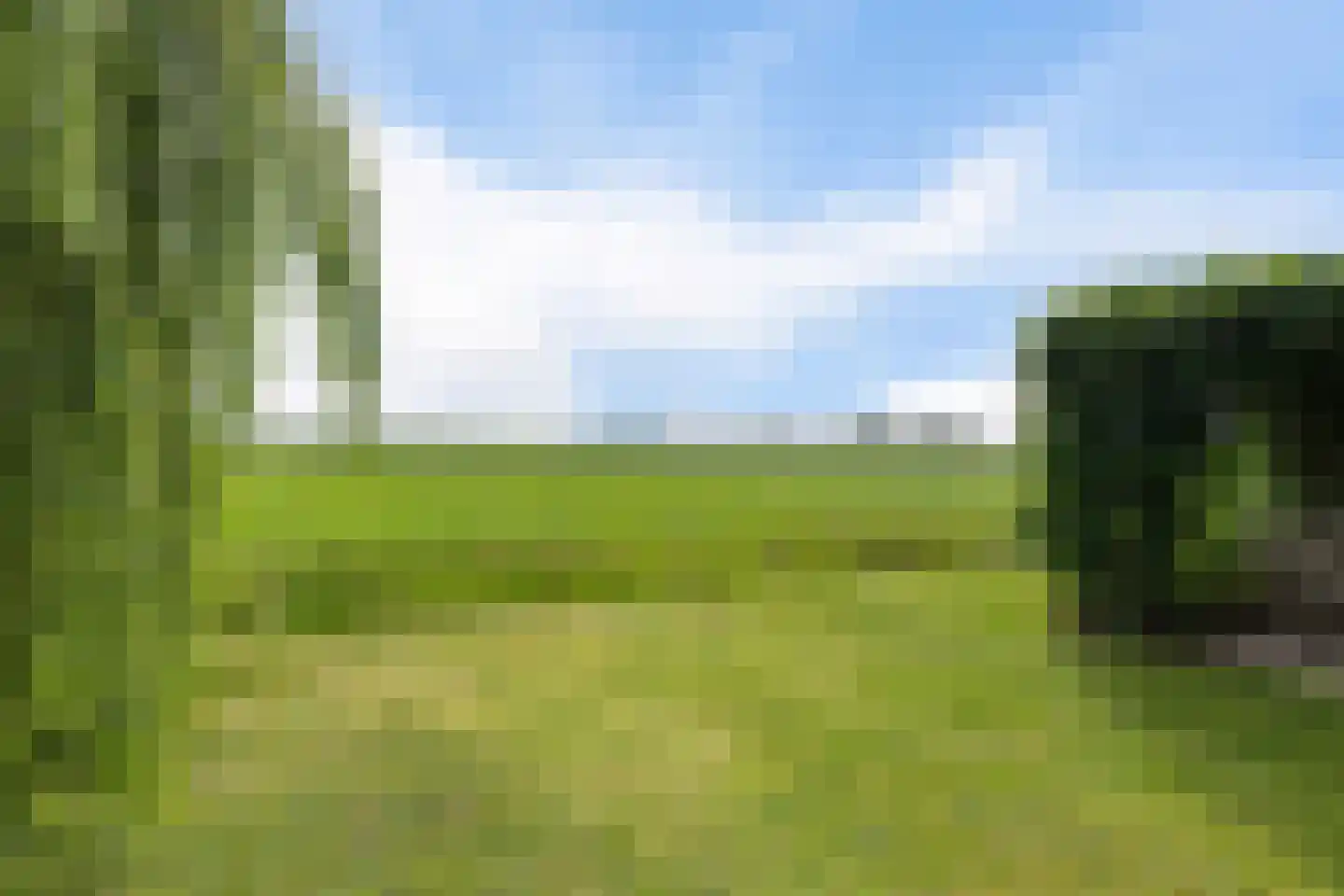 Molenlaan 21 Rottum thumbnail 41