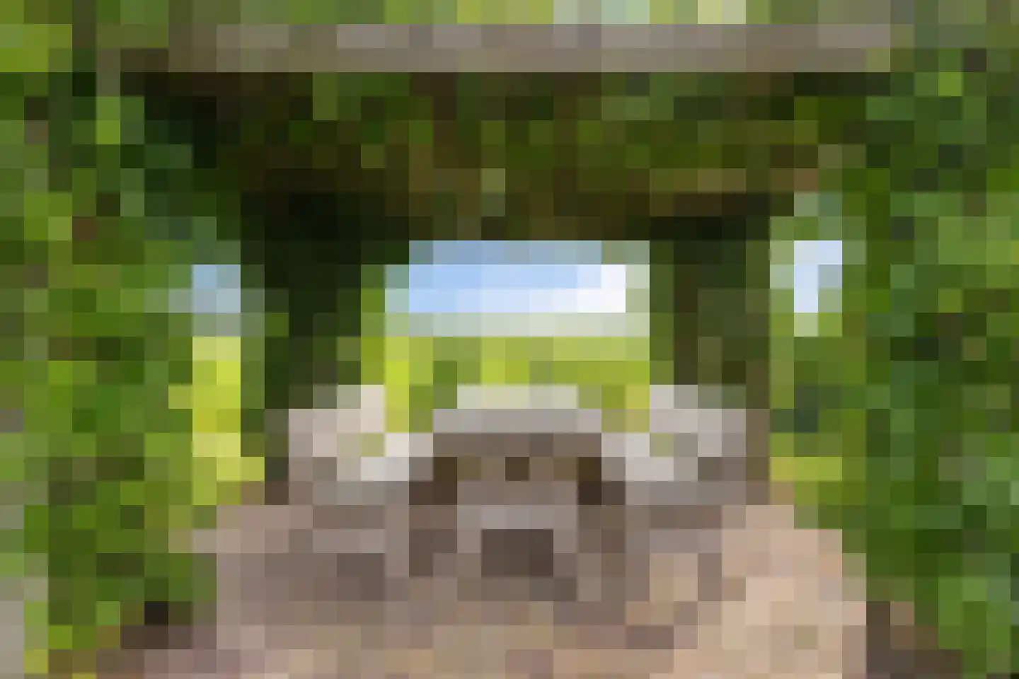 Molenlaan 21 Rottum thumbnail 43