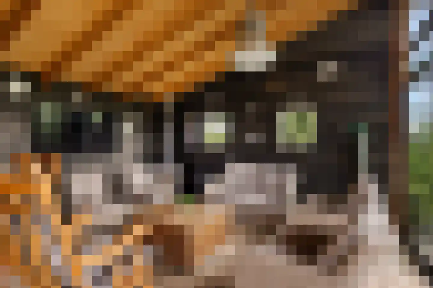Molenlaan 21 Rottum thumbnail 47