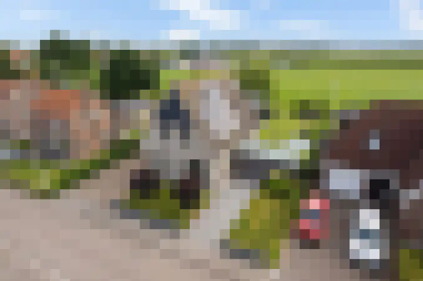 Molenlaan 21 Rottum thumbnail 48