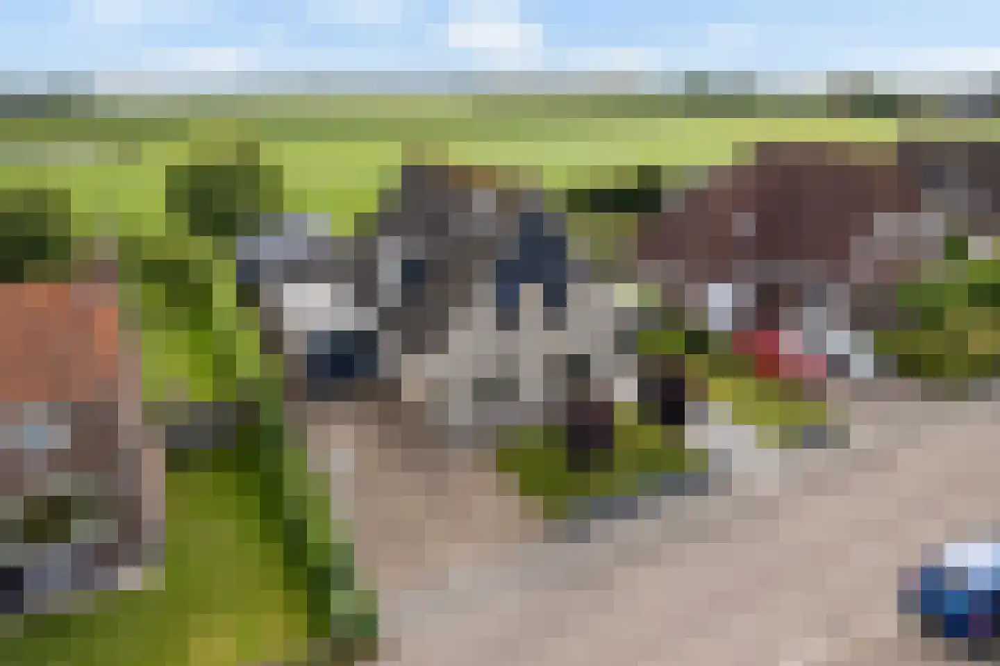 Molenlaan 21 Rottum thumbnail 49